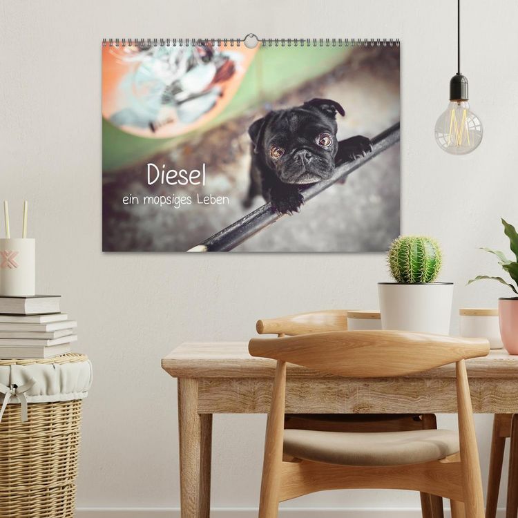 Produktbild: Diesel - ein mopsiges Leben (Wandkalender 2026 DIN A3 quer), CALVENDO Monatskalender