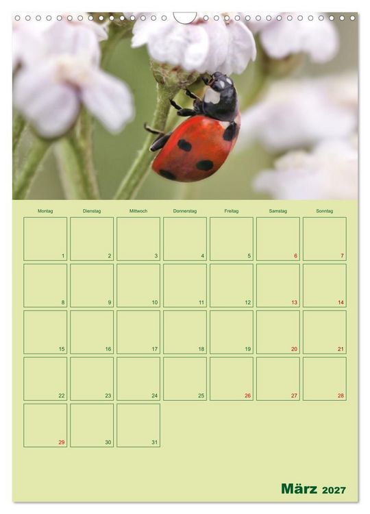 Produktbild: Die Welt der Insekten (Wandkalender 2027 DIN A3 hoch), CALVENDO Monatskalender