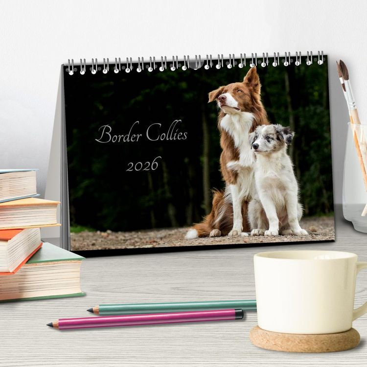 Produktbild: Border Collies 2026 (Tischkalender 2026 DIN A5 quer), CALVENDO Monatskalender