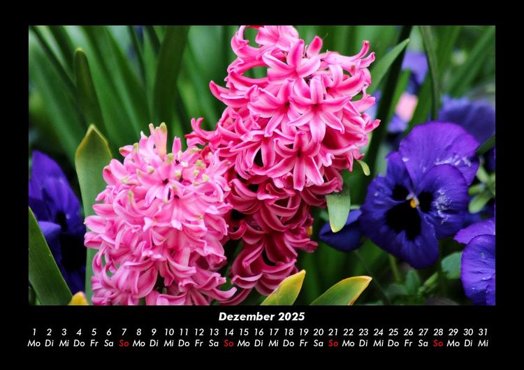 Produktbild: Blumenzauber 2025 Fotokalender DIN A3