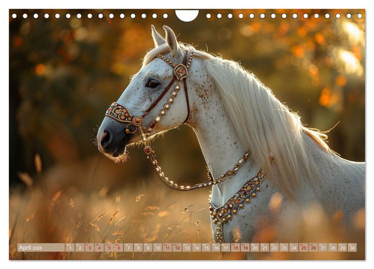 Produktbild: White Horses in Splendor (Wall Calendar 2026 DIN A4 landscape), CALVENDO 12 Month Wall Calendar