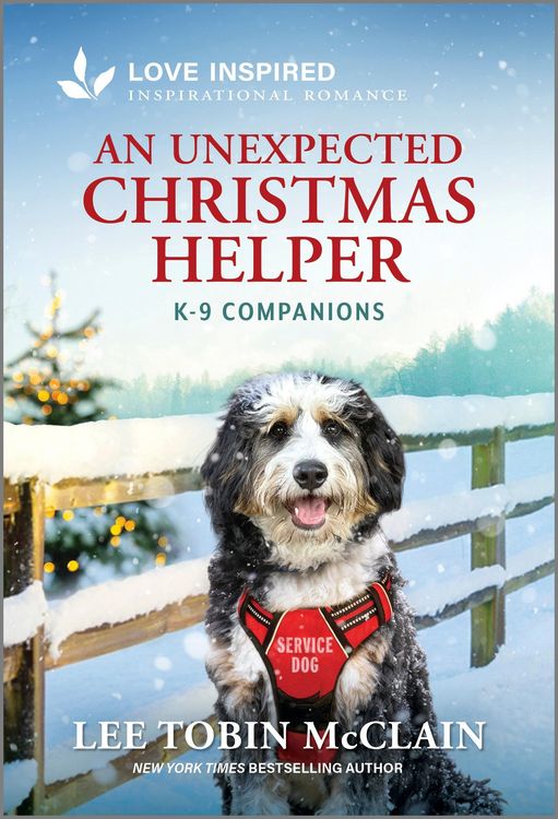 Produktbild: An Unexpected Christmas Helper
