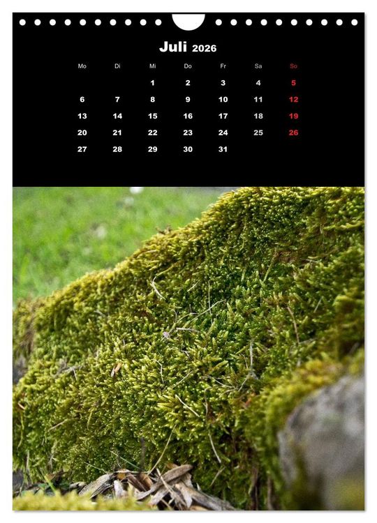 Produktbild: Die Welt der Moose. Ein Blick nach unten (Wandkalender 2026 DIN A4 hoch), CALVENDO Monatskalender