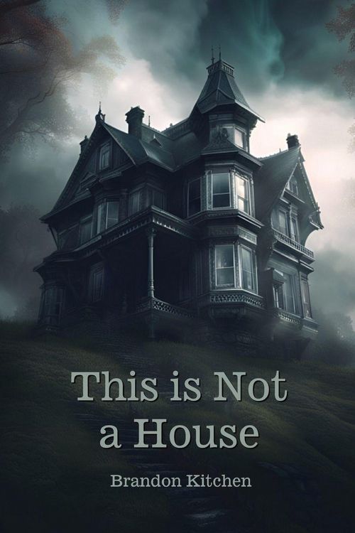 Produktbild: This is Not a House