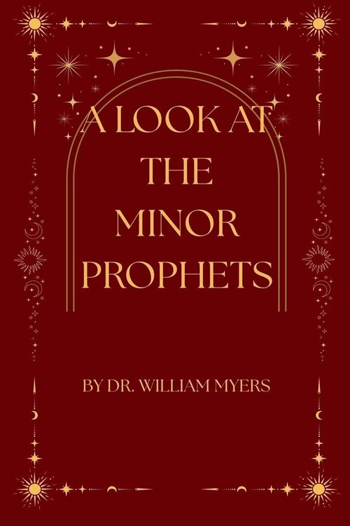Produktbild: A Look at the Minor Prophets