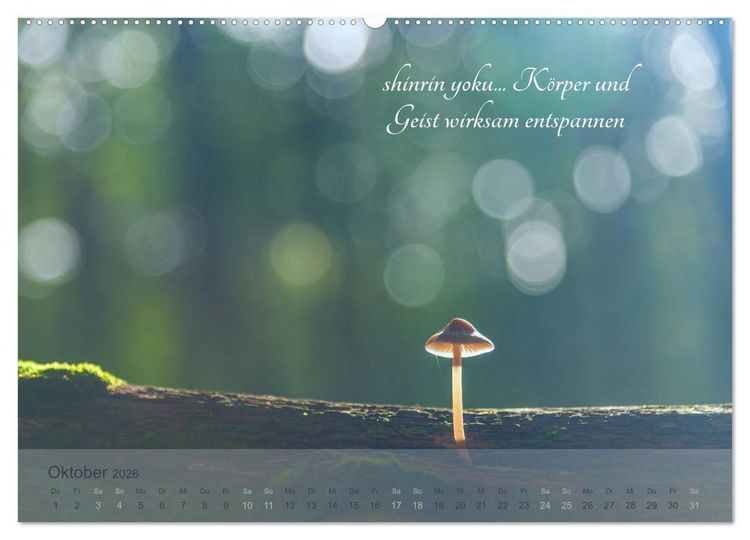 Produktbild: Shinrin yoku - Waldbaden 2026 (Wandkalender 2026 DIN A2 quer), CALVENDO Monatskalender