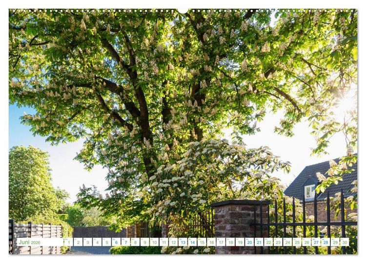 Produktbild: K&ouml;ln Widdersdorf - Bl&uuml;tentr&auml;ume und l&auml;ndliche Idylle (hochwertiger Premium Wandkalender 2026 DIN A2 quer), Kunstdruck in Hochglanz