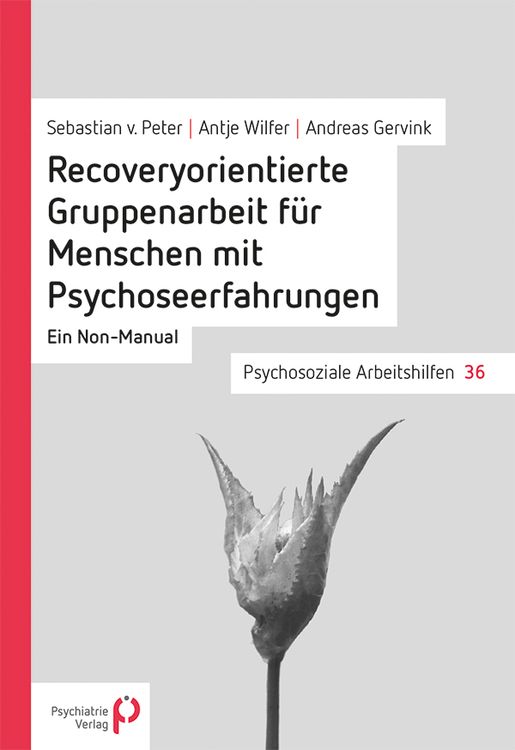 Produktbild: Recoveryorientierte Gruppenarbeit f&uuml;r Menschen mit Psychoseerfahrungen