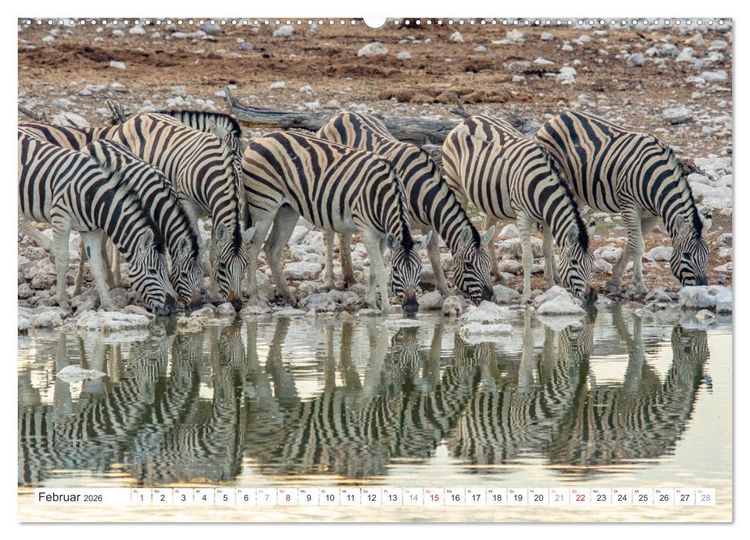 Produktbild: Afrika - Namibia (hochwertiger Premium Wandkalender 2026 DIN A2 quer), Kunstdruck in Hochglanz
