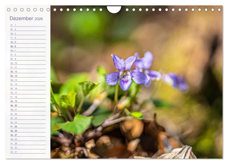 Produktbild: Wenn im Fr&uuml;hling die Natur wieder erwacht (Wandkalender 2026 DIN A4 quer), CALVENDO Monatskalender