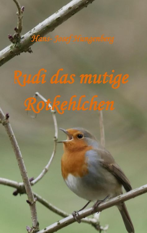 Produktbild: Rudi das mutige Rotkehlchen