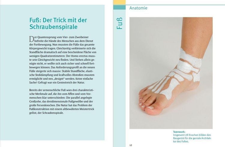 Produktbild: Gesunde F&uuml;&szlig;e