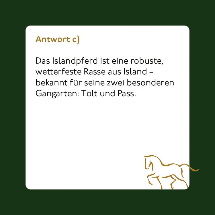 Produktbild: Pferde und Reiten - Das Quiz