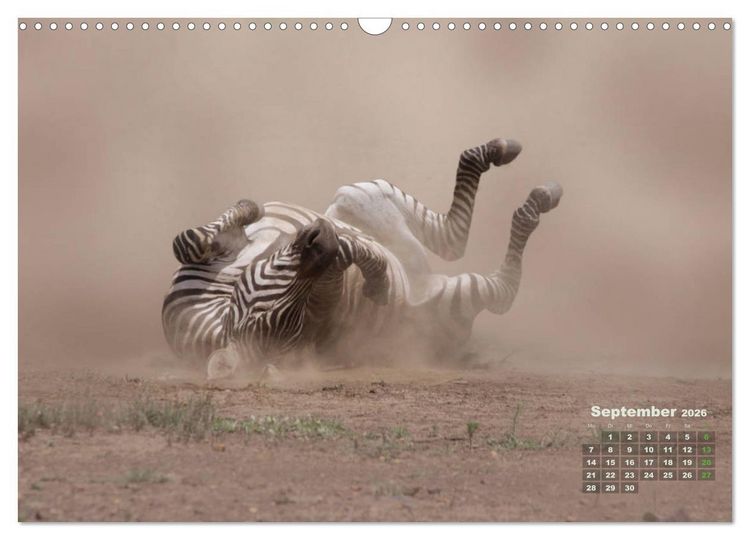 Produktbild: WILDE TIERE IN AKTION (Wandkalender 2026 DIN A3 quer), CALVENDO Monatskalender