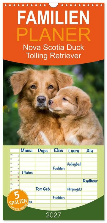 Produktbild: Familienplaner 2027 - Toller - Nova Scotia Duck Tolling Retriever mit 5 Spalten (Wandkalender, 21 x 45 cm) CALVENDO