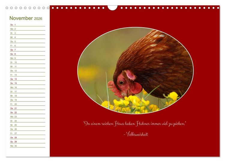 Produktbild: Freilaufende H&uuml;hner (Wandkalender 2026 DIN A3 quer), CALVENDO Monatskalender