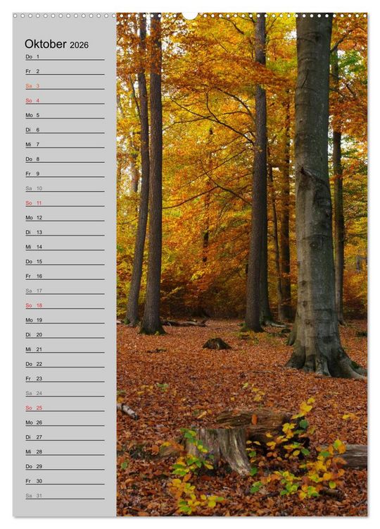 Produktbild: Traumhaftes Siegerland 2026 (hochwertiger Premium Wandkalender 2026 DIN A2 hoch), Kunstdruck in Hochglanz