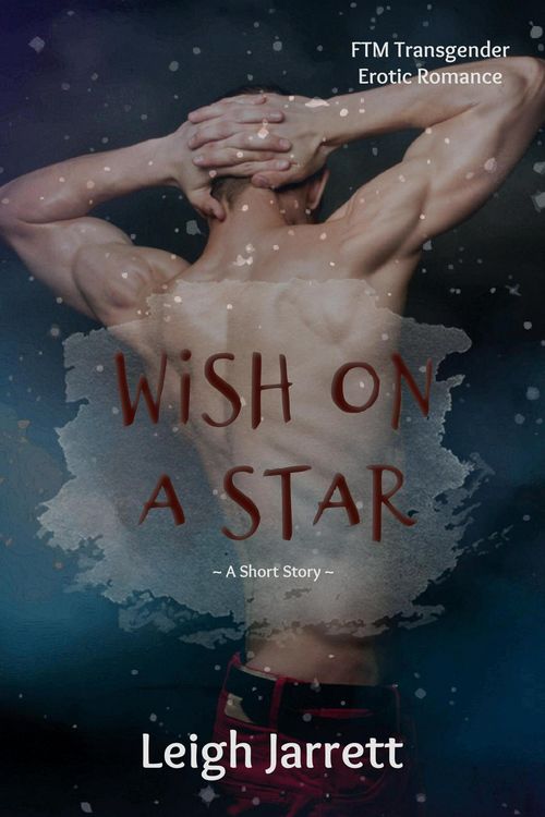 Produktbild: Wish On A Star: FTM Transgender Erotic Romance