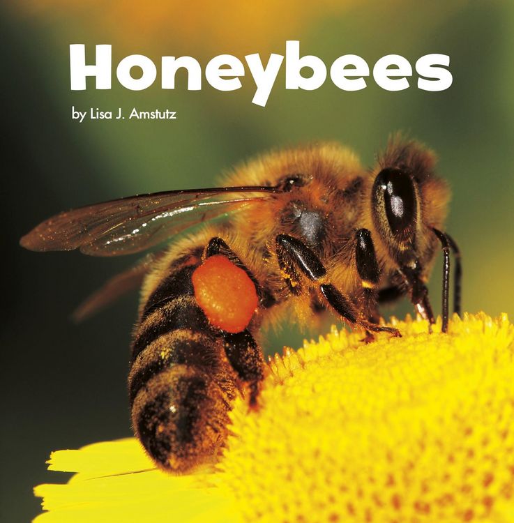 Produktbild: Honeybees