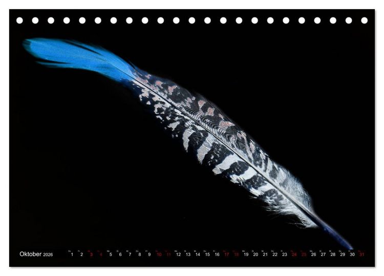 Produktbild: Federleichte Momente (Tischkalender 2026 DIN A5 quer), CALVENDO Monatskalender