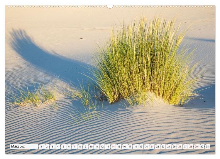 Produktbild: Amrum. Natur und Landschaften (Wandkalender 2027 DIN A2 quer), CALVENDO Monatskalender