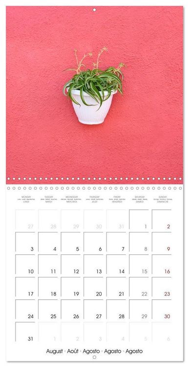 Produktbild: Leaves and flowers of Burano (Wall Calendar 2026 12 &times; 12 Inch) CALVENDO 12 Month Wall Calendar