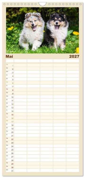 Produktbild: Familienplaner 2027 - Faszinierende Rough Collies mit 5 Spalten (Wandkalender, 21 x 45 cm) CALVENDO