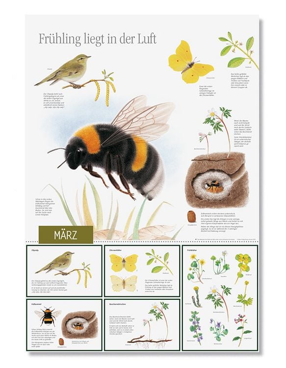 Produktbild: Natur erleben durch das Jahr - 3