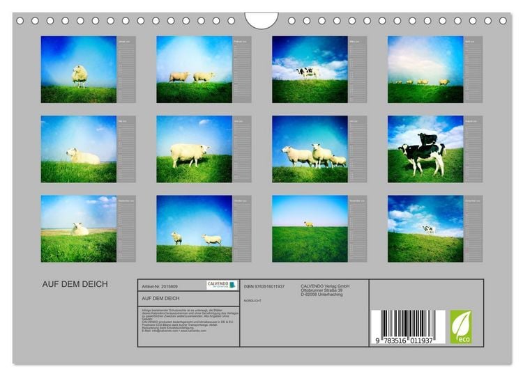 Produktbild: AUF DEM DEICH (Wandkalender 2026 DIN A4 quer), CALVENDO Monatskalender