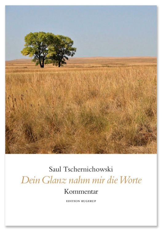 Produktbild: Dein Glanz nahm mir die Worte