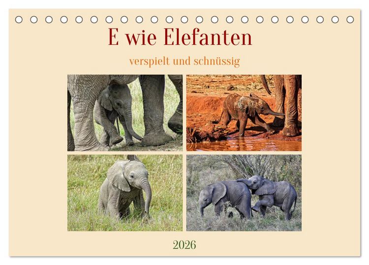 Produktbild: E wie Elefanten - verspielt und schn&uuml;ssig (Tischkalender 2026 DIN A5 quer), CALVENDO Monatskalender