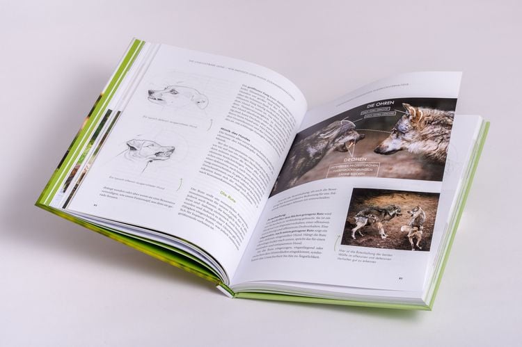 Produktbild: Artgerechte Hundeerziehung