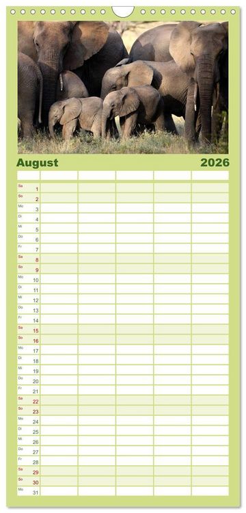Produktbild: Familienplaner 2026 - Afrika - im Reich der Elefanten mit 5 Spalten (Wandkalender, 21 x 45 cm) CALVENDO