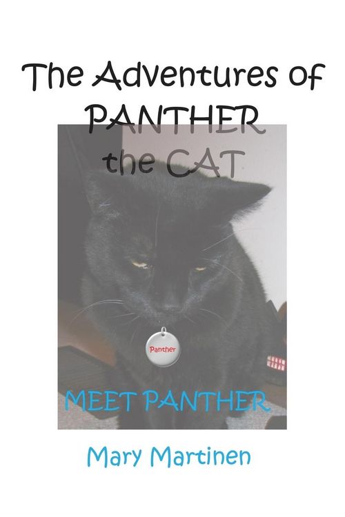 Produktbild: The Adventures of Panther the Cat
