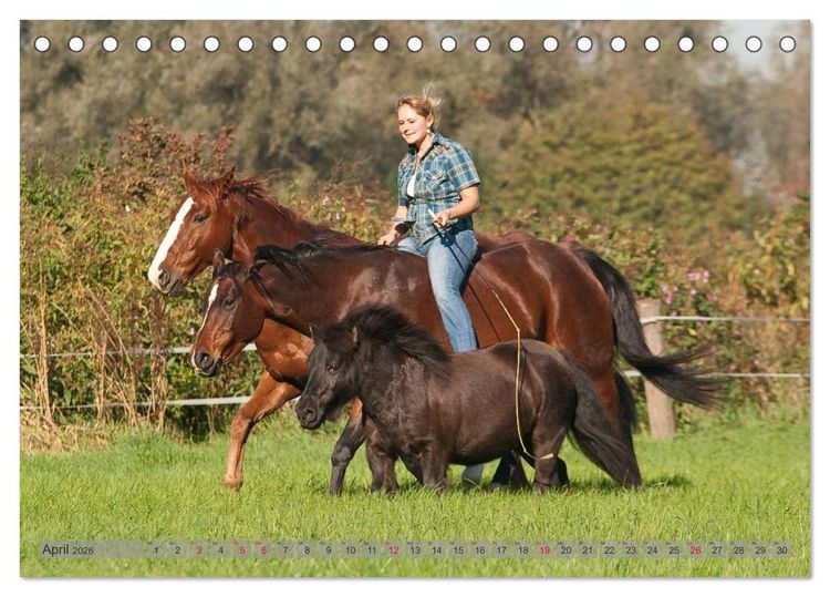 Produktbild: Natural Horsemanship - Partnerschaft mit Pferden (Tischkalender 2026 DIN A5 quer), CALVENDO Monatskalender