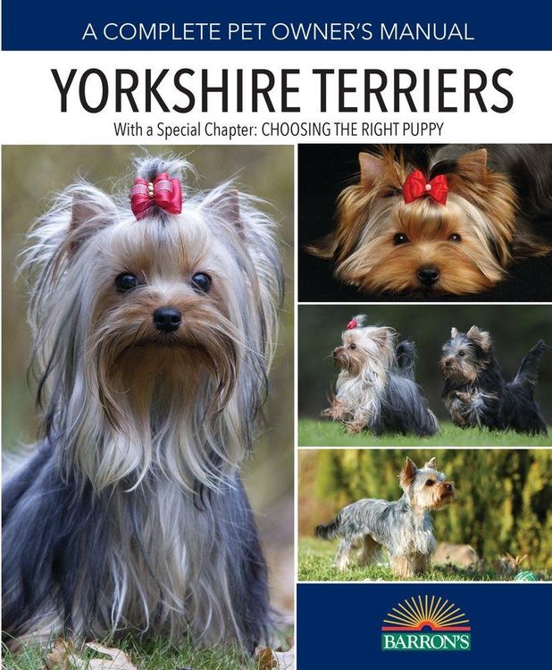 Produktbild: Yorkshire Terriers