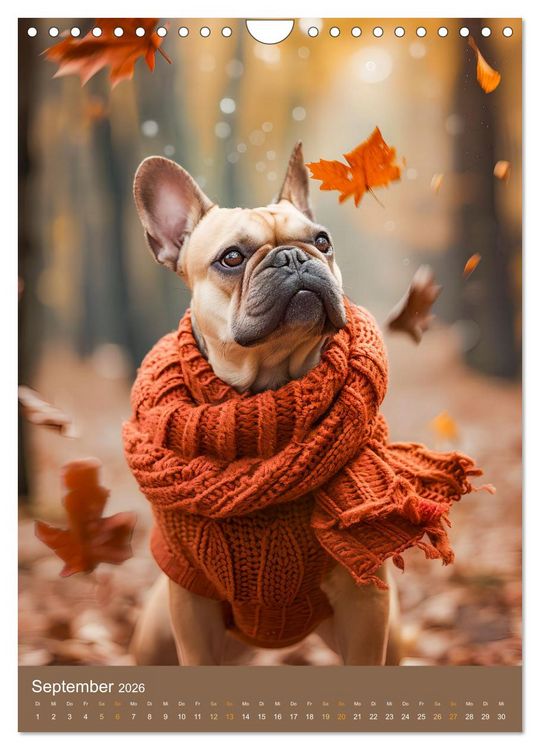Produktbild: Frenchie Couture - Franz&ouml;sische Bulldoggen in Strick-Chic (Wandkalender 2026 DIN A4 hoch), CALVENDO Monatskalender