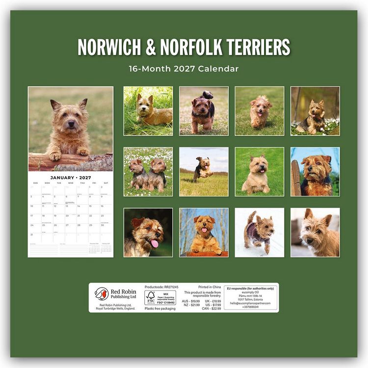 Produktbild: Norwich Terrier und Norfolk Terrier 2027 &ndash; 16-Monatskalender