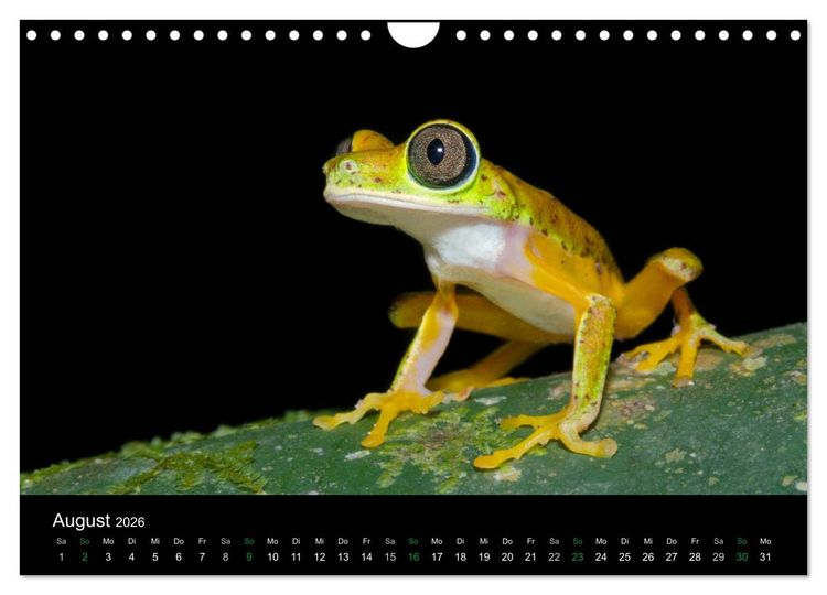 Produktbild: Costa Rica - Faszination Fr&ouml;sche (Wandkalender 2026 DIN A4 quer), CALVENDO Monatskalender