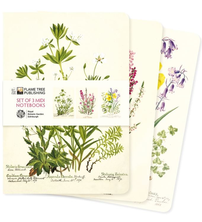 Produktbild: Dreier Set Mittelformat-Notizb&uuml;cher: Royal Botanic Garden Edinburgh