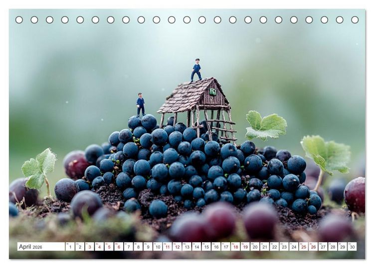 Produktbild: Miniatur-Universum: Ein Jahr in kleinen Welten (Tischkalender 2026 DIN A5 quer), CALVENDO Monatskalender