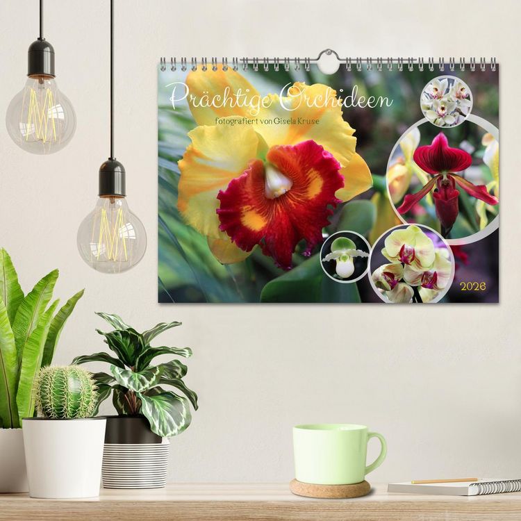 Produktbild: Pr&auml;chtige Orchideen (Wandkalender 2026 DIN A4 quer), CALVENDO Monatskalender