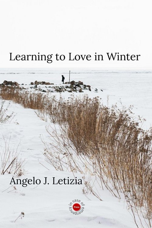 Produktbild: Learning to Love in Winter