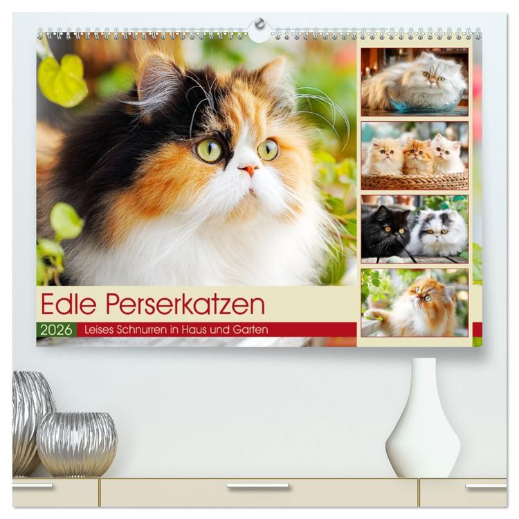 Produktbild: Edle Perserkatzen. Leises Schnurren in Haus und Garten (hochwertiger Premium Wandkalender 2026 DIN A2 quer), Kunstdruck in Hochglanz