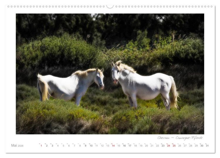 Produktbild: Sehnsucht Provence - Land des Lichts (hochwertiger Premium Wandkalender 2026 DIN A2 quer), Kunstdruck in Hochglanz
