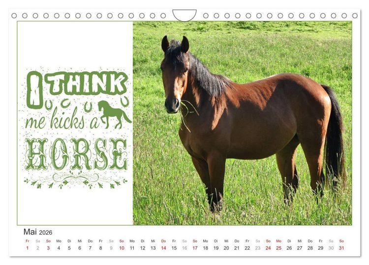 Produktbild: Tierisch Denglisch (Wandkalender 2026 DIN A4 quer), CALVENDO Monatskalender