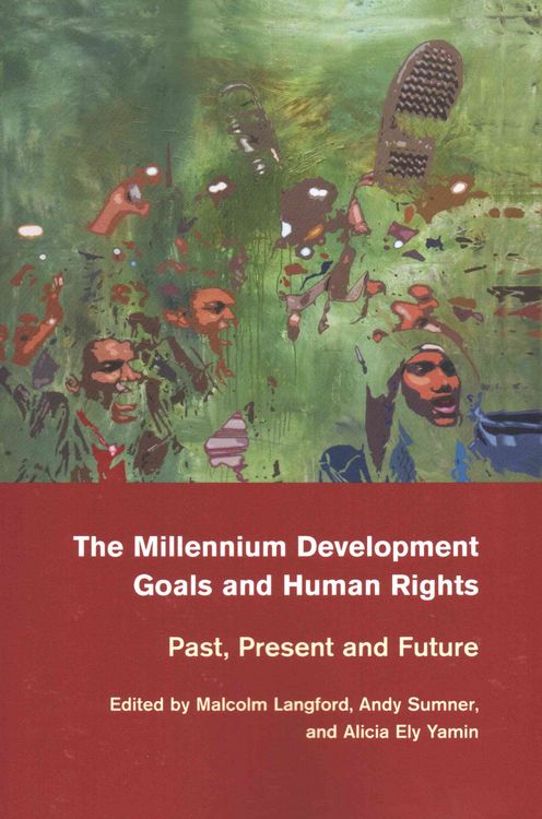 Produktbild: The Millennium Development Goals and Human Rights