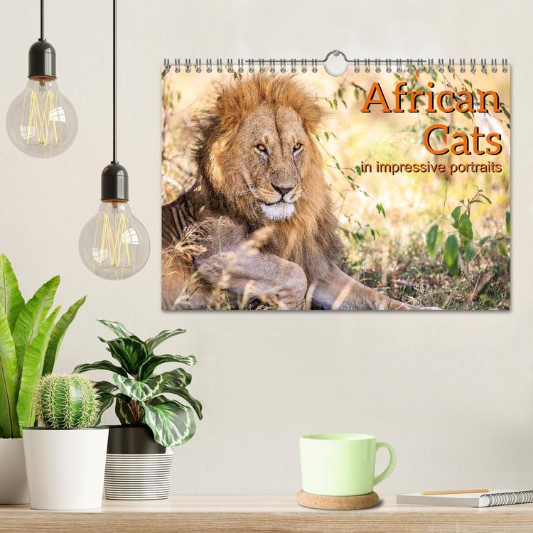 Produktbild: African Cats in impressive portraits (Wall Calendar 2026 DIN A4 landscape), CALVENDO 12 Month Wall Calendar