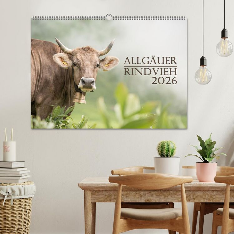 Produktbild: Allg&auml;uer Rindvieh 2026 (Wandkalender 2026 DIN A2 quer), CALVENDO Monatskalender