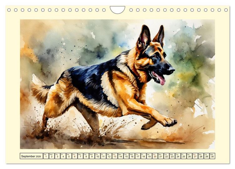 Produktbild: German Shepherds - classics around the globe (Wall Calendar 2026 DIN A4 landscape), CALVENDO 12 Month Wall Calendar